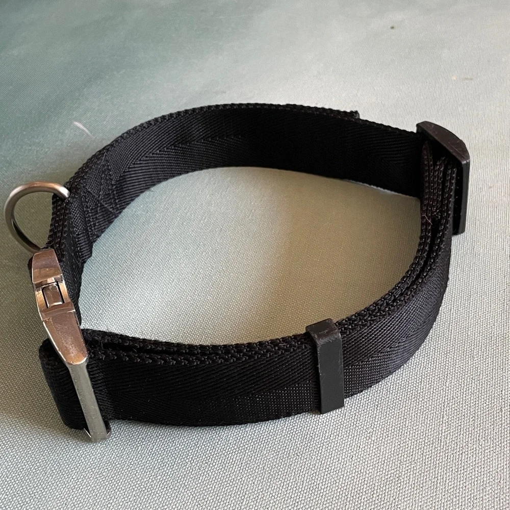 Alu-Max Nylon D-Ring Dog Collar 1.5” with Handle XL + Leash